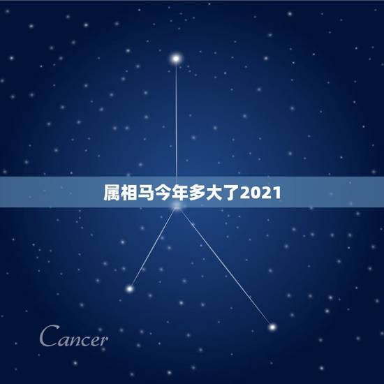 属相马今年多大了2021，属马的人2021年多大