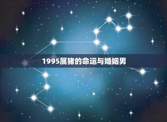 1995属猪的命运与婚姻男，95属猪哪一年结婚更好