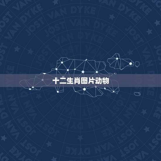 十二生肖图片动物,十二生肖是哪些动物,十二生肖对应的动物 十二生肖图片动物,十二生肖是哪些动物,十二生肖对应的动物