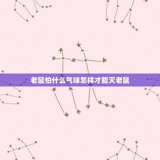 老鼠怕什么气味怎样才能灭老鼠,老鼠最讨厌什么气味 老鼠怕什么气味怎样才能灭老鼠,老鼠最讨厌什么气味
