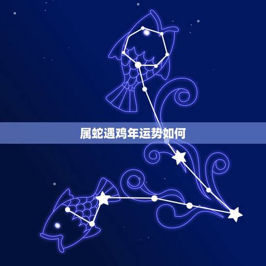 属蛇遇鸡年运势如何，属蛇人2021年全年运势？