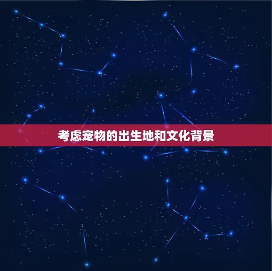 考虑宠物的出生地和文化背景 考虑宠物的出生地和文化背景