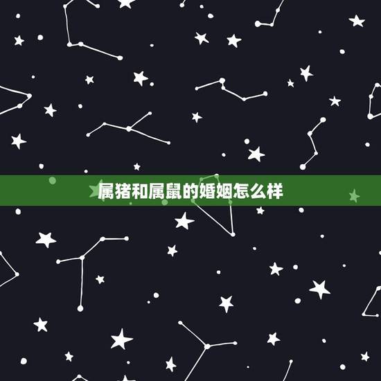 属猪和属鼠的婚姻怎么样,女84年属鼠和男83年属猪婚姻怎么样 属猪和属鼠的婚姻怎么样,女84年属鼠和男83年属猪婚姻怎么样