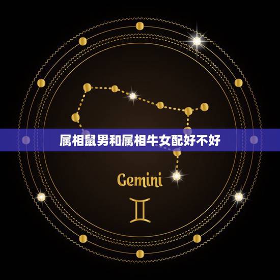 属相鼠男和属相牛女配好不好,属相姻缘配对,男猴,男牛,女鼠给谁配对最好 属相鼠男和属相牛女配好不好,属相姻缘配对,男猴,男牛,女鼠给谁配对最好