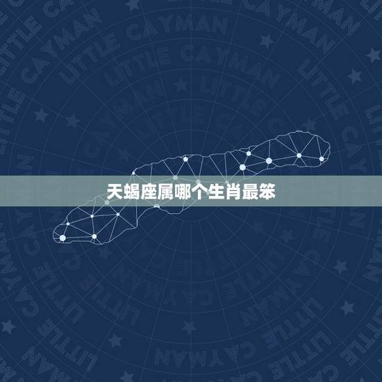 天蝎座属哪个生肖最笨,天蝎座未来10年运势 天蝎座属哪个生肖最笨,天蝎座未来10年运势