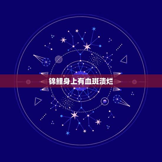 锦鲤身上有血斑溃烂，锦鲤身体张血斑出血怎么回事