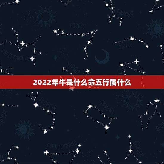 2022年牛是什么命五行属什么，生肖牛五行属什么，属牛的五行