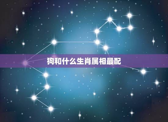 狗和什么生肖属相最配，属狗的属相婚配表大全 属狗的男女和什么属相最配