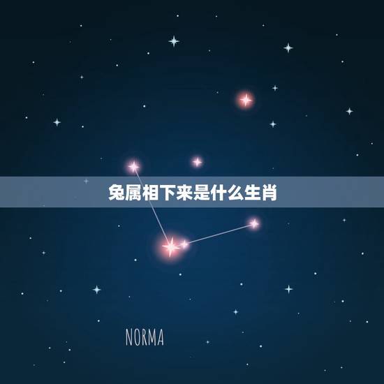 兔属相下来是什么生肖,12生肖中,兔子的左右生肖是什么。 兔子对面的生 兔属相下来是什么生肖,12生肖中,兔子的左右生肖是什么。 兔子对面的生