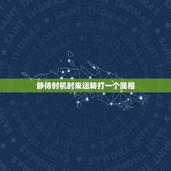 静待时机时来运转打一个属相，三四来码二五出，六六大顺一路发打一个生肖