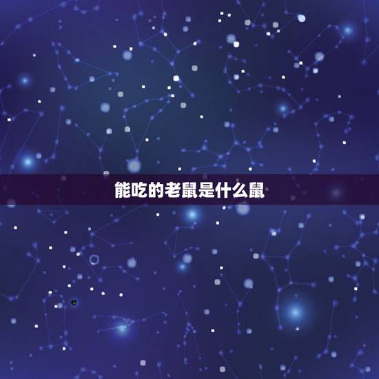 能吃的老鼠是什么鼠，老鼠肉多少钱一斤