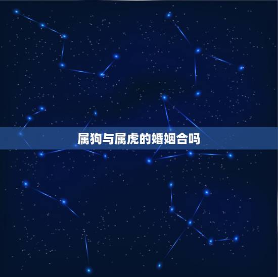 属狗与属虎的婚姻合吗,属狗和属虎结婚属相相配么? 属狗与属虎的婚姻合吗,属狗和属虎结婚属相相配么?