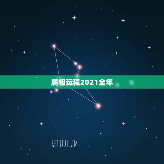 属相运程2021全年，2021年十二生肖运势运程