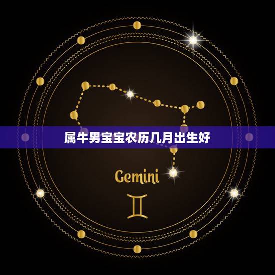 属牛男宝宝农历几月出生好，属猪的几月出生更好