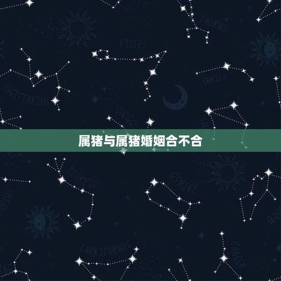 属猪与属猪婚姻合不合，属猪的和属猪的结婚好吗