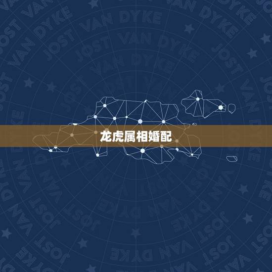 龙虎属相婚配，龙虎相配吗