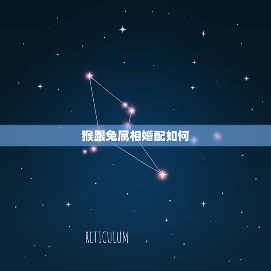 猴跟兔属相婚配如何，婚配：兔与猴