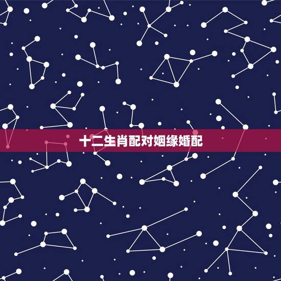 十二生肖配对姻缘婚配，蛇和什么生肖最配？属蛇的属相婚配表大全