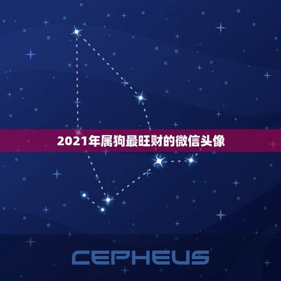 2021年属狗最旺财的微信头像,70年属狗用什么做微信头像好 2021年属狗最旺财的微信头像,70年属狗用什么做微信头像好