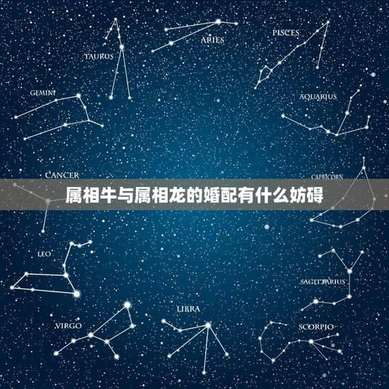 属相牛与属相龙的婚配有什么妨碍，属大龙能和属牛的婚配吗