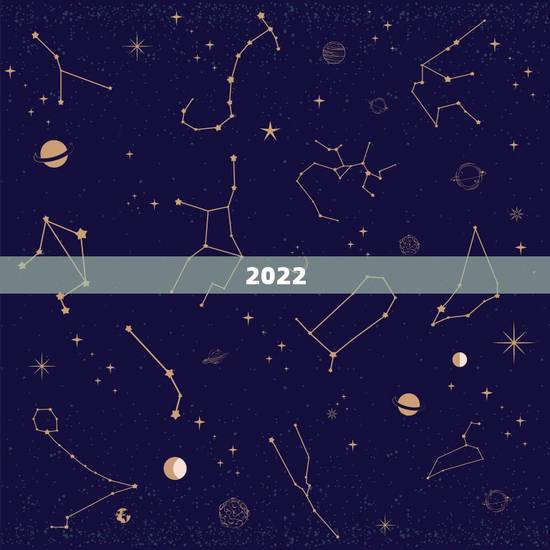 2022 年生肖对照表49码，2022 十二生肖表新版