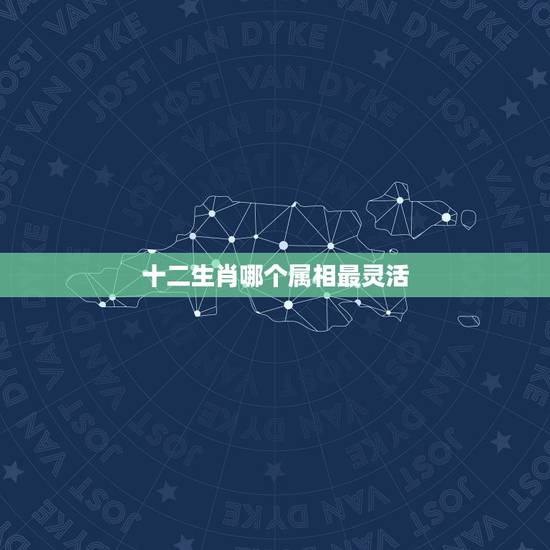 十二生肖哪个属相最灵活,十二生肖中那个生肖最聪明再灵活? 十二生肖哪个属相最灵活,十二生肖中那个生肖最聪明再灵活?