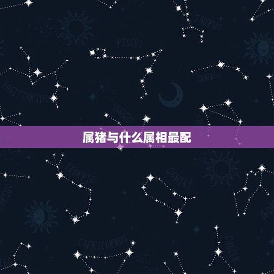 属猪与什么属相最配，95年猪女配什么属相更好