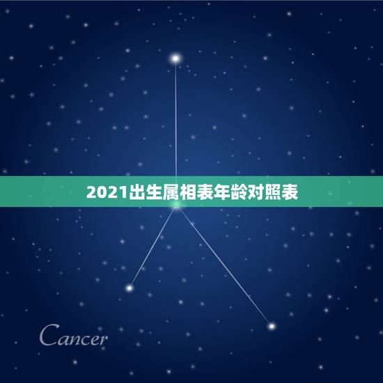 2021出生属相表年龄对照表,2021年十二生肖年龄对照表 2021出生属相表年龄对照表,2021年十二生肖年龄对照表