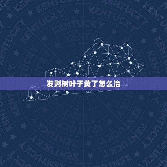 发财树叶子黄了怎么治,家里发财树叶子发黄怎么办 发财树叶子黄了怎么治,家里发财树叶子发黄怎么办