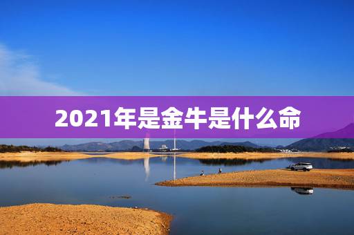 2021年是金牛是什么命，2021年几月的金牛好命运