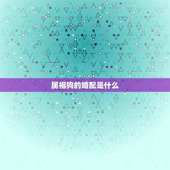 属相狗的婚配是什么，属狗人的婚配适合什么属相