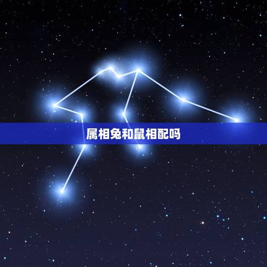 属相兔和鼠相配吗，属兔和属鼠的合得来吗
