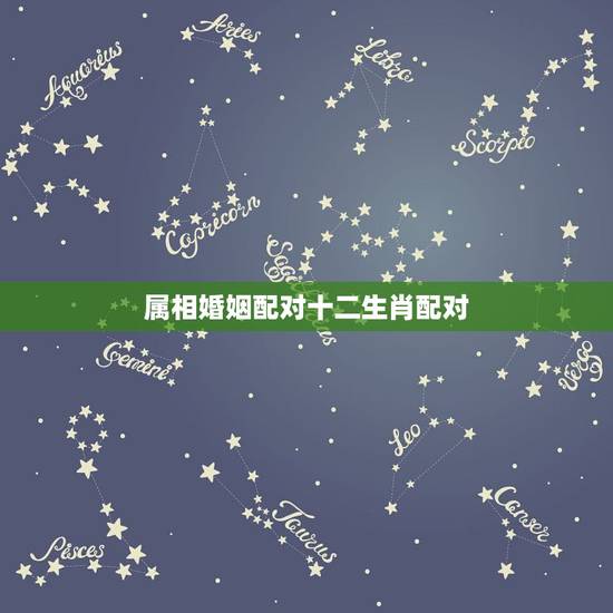 属相婚姻配对十二生肖配对,十二生肖婚姻配对 属相婚姻配对十二生肖配对,十二生肖婚姻配对
