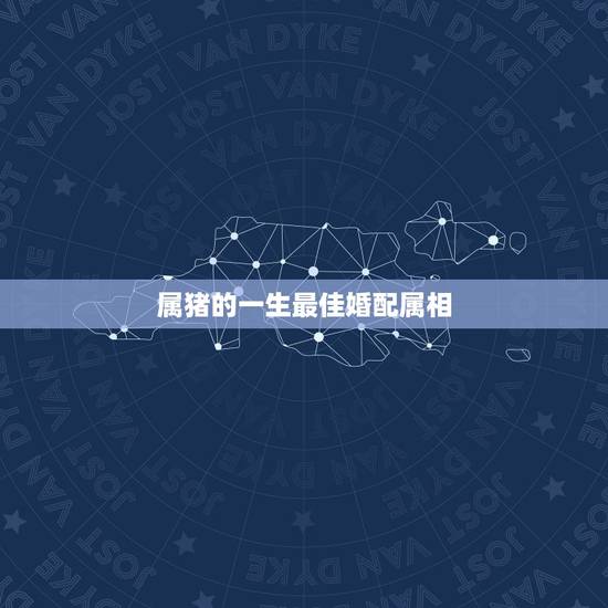 属猪的一生最佳婚配属相,属猴的和什么属相最配 属猪的一生最佳婚配属相,属猴的和什么属相最配