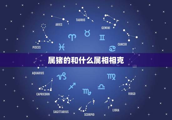 属猪的和什么属相相克，属猪的跟什么相冲