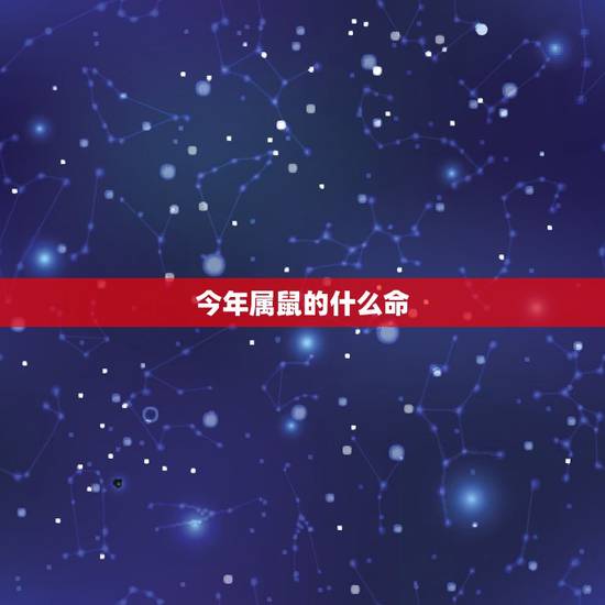 今年属鼠的什么命，2022 适合属鼠女孩的名字