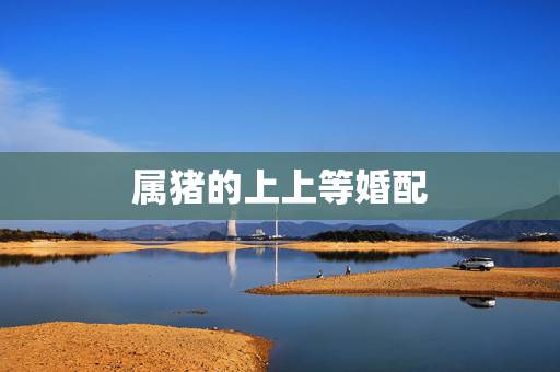 属猪的上上等婚配,属猪的女人更佳婚配 属猪的上上等婚配,属猪的女人更佳婚配