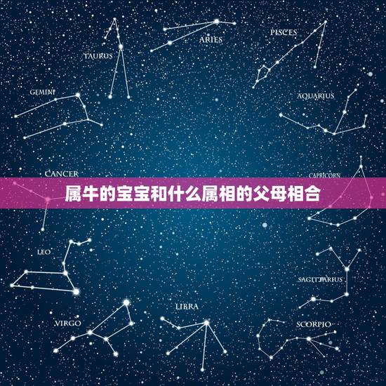 属牛的宝宝和什么属相的父母相合，一家同生肖有3个很好，但一家有三个属龙