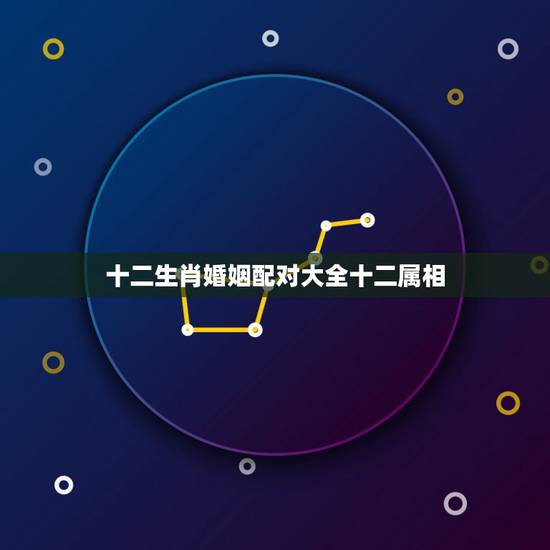 十二生肖婚姻配对大全十二属相，十二生肖姻缘配对