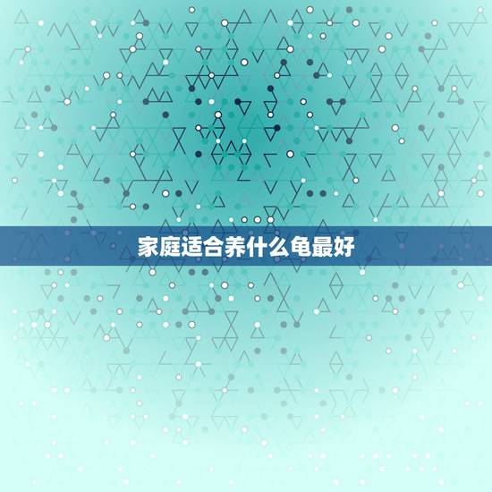 家庭适合养什么龟最好，家里养什么乌龟品种最好