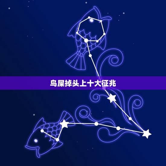 鸟屎掉头上十大征兆 鸟屎掉头上是吉是凶 鸟屎掉头上十大征兆 鸟屎掉头上是吉是凶
