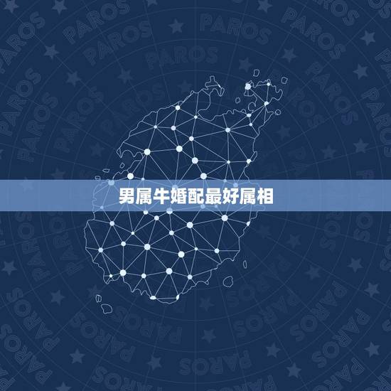 男属牛婚配最好属相,1997属牛男和什么属相婚配合适 男属牛婚配最好属相,1997属牛男和什么属相婚配合适