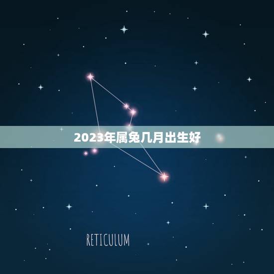 2023年属兔几月出生好，属兔几月生好