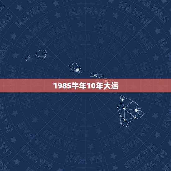 1985牛年10年大运，属牛85年，11月12日，财运官运