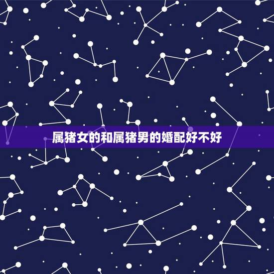 属猪女的和属猪男的婚配好不好，女属猪和男属猪相配吗