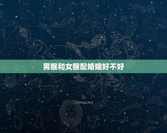 男猴和女猴配婚姻好不好，92年属猴一生三大劫