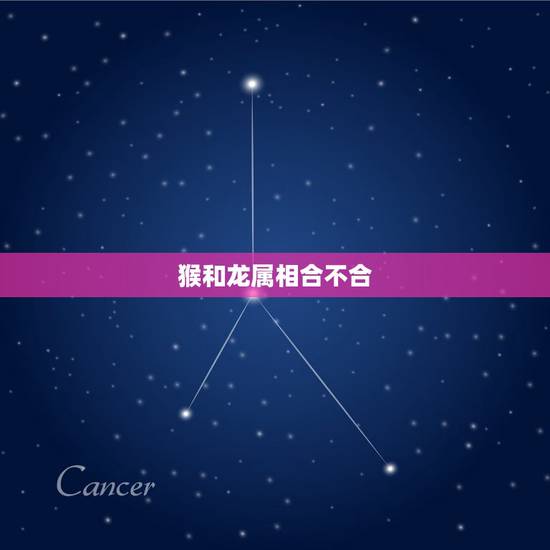 猴和龙属相合不合,属龙的为什么不能娶属猴人 猴和龙属相合不合,属龙的为什么不能娶属猴人