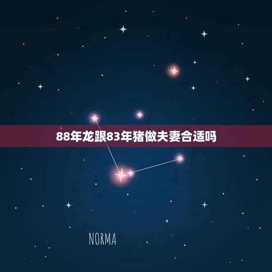 88年龙跟83年猪做夫妻合适吗,猪遇龙能化龙是非常好 88年龙跟83年猪做夫妻合适吗,猪遇龙能化龙是非常好