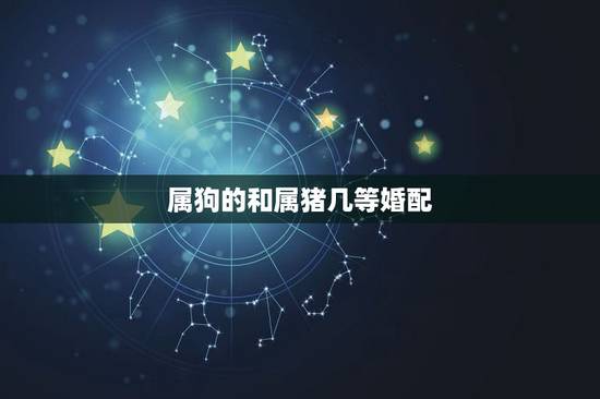 属狗的和属猪几等婚配，属猪和属狗的能结婚吗，