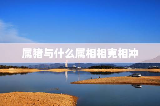 属猪与什么属相相克相冲,什么动物克猪 属猪与什么属相相克相冲,什么动物克猪